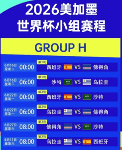 球迷欢呼庆祝进球 中国体彩网世界杯